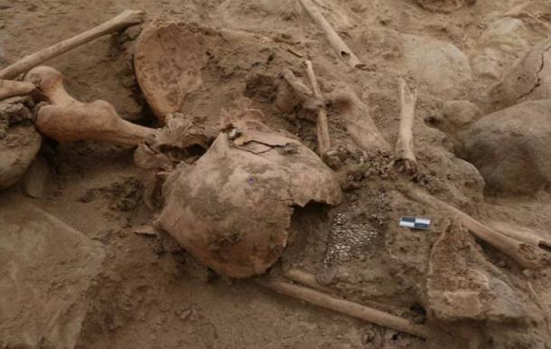 One of 11 skeletons fund in Trujillo, Peru. (Peru's Ministry of Culture)