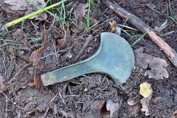 One of the axe blades discovered at Starogard Forest District, Ploland. (Nadleśnictwo Stargard)