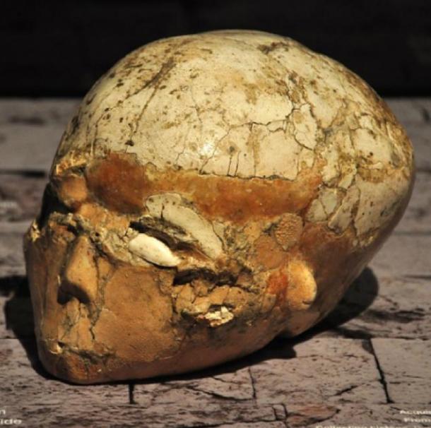 Cráneo enyesado de Jericó del 7,000 AC descubierto por Dame Kathleen Kenyon, 1957. (Merryjack, CC BY-NC-SA 2.0)