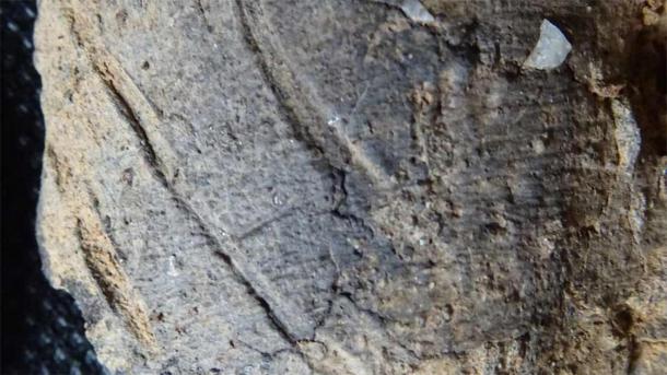 Pottery found on site contained dairy fat residue (BBC)