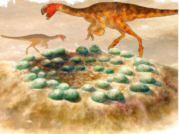 Reconstruction of a clutch of eggs with silhouettes of the oviraptorids