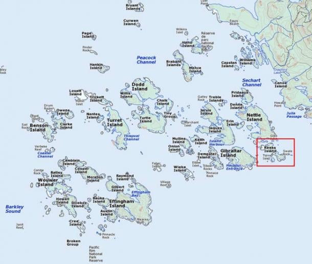 The strange face was spotted on Reeks Island in British Columbia, Canada