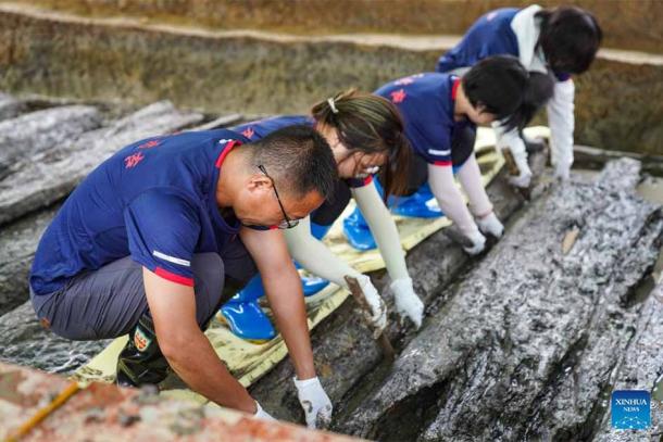 Researchers delicately removing preserved waterlogged wooden part of the tomb. (Chongqing Cultural Relics and Archaeology Research Institute/ Xinhua News)