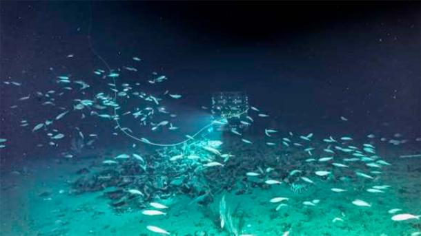 View of the Roman wreck which has a cargo solely of glassware. (M.Añò-V.Creuze-D.Degez / Soprintendenza Nazionale per il Patrimonio Culturale Subacqueo)