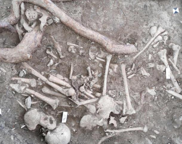 Skeletal remains of person found near the execution site. (State Office for Monument Preservation and Archaeology of Saxony-Anhalt)