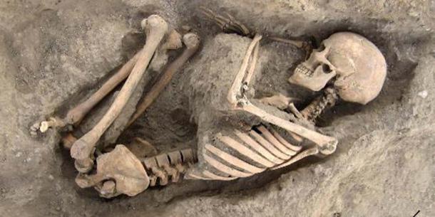 Restos óseos encontrados en Wadi Faynan 16 (Iмagen: Cortesía de Steʋen Mithen)