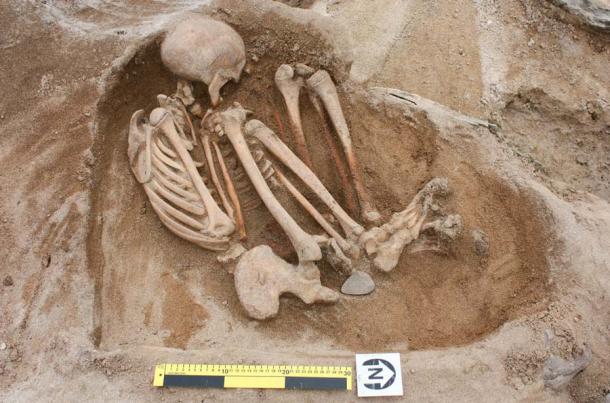 Skeletal remains at a cemetery from 1800 BC yielded clues to marriage patterns in the Bronze Age. (EASE Archaeology)