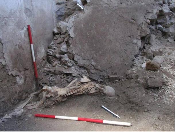 Skeleton of ‘individual 1’, a male aged around 50 years. The positioning suggests he was suddenly crushed by the collapse of a large wall fragment, resulting in severe traumas causing immediate death. (Pompeii Archaeological Park)