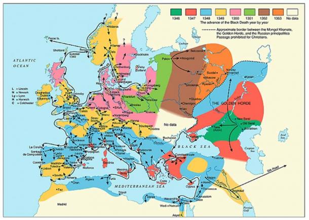 New Details Emerge On The Black Death By Examining A Plague Victim And   Spread Of The Black Death 