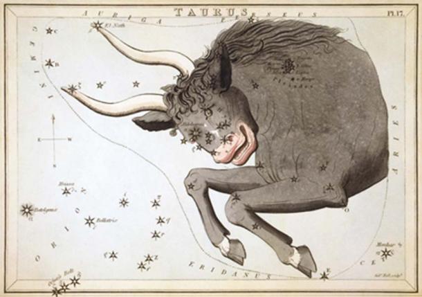 Taurus the Bull constellation (Public Domain)
