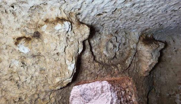 Close up on the bulls in the Tharsa tomb (IHA)