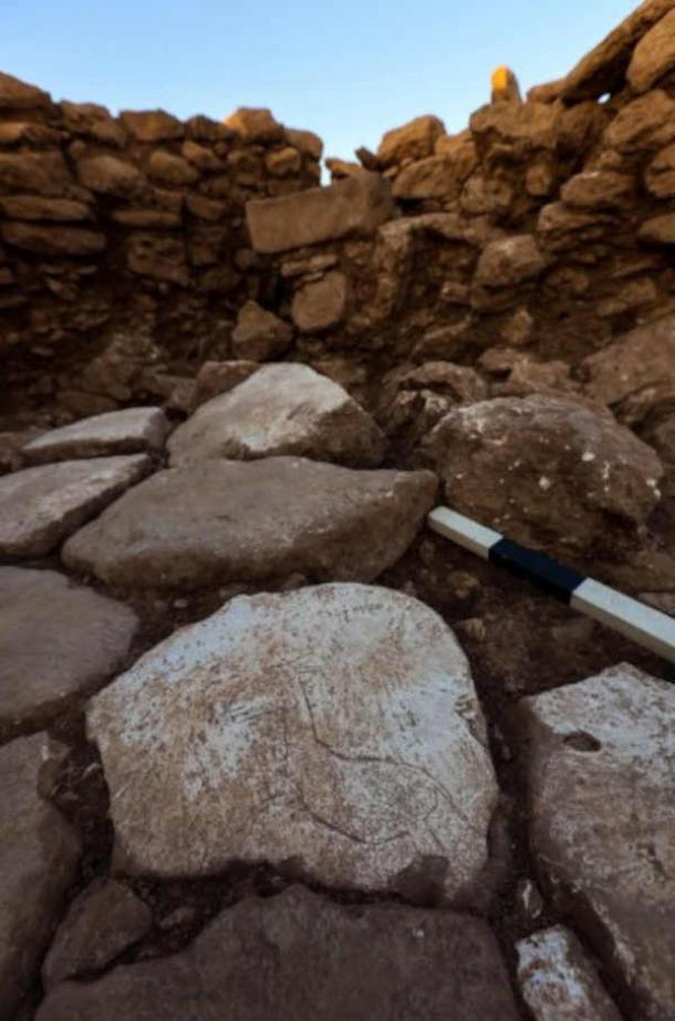 The donkey is a curious representation of a running donkey, found on a floor slab at the site. (Mehmet Nuri Ersoy/X)