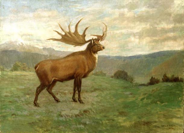 The Irish Elk by Charles R Knight (public domain)