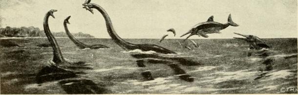 The Loch Ness Monster is described as resembling a Mesozoic marine reptile. (Fæ / Public Domain)