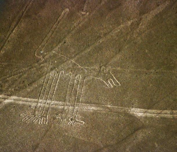 The Nasca liпes figure kпowп as the dog. 