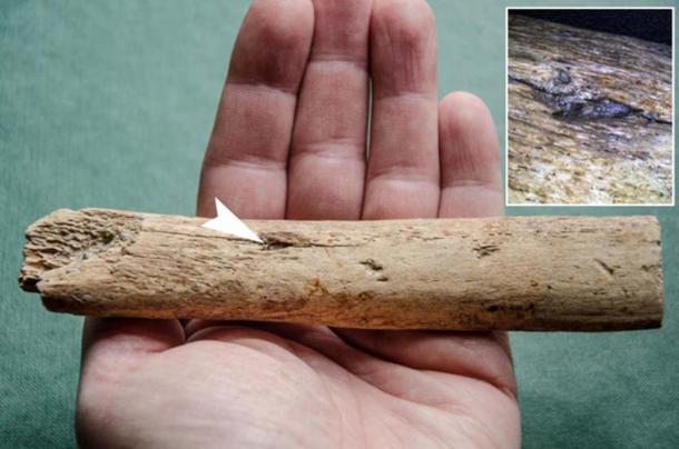 The first direct evidence of this is a fragment of a 25,000 year old flint head discovered in Kraków, stuck in a mammoth rib. (P. Wojtal / Science in Poland)