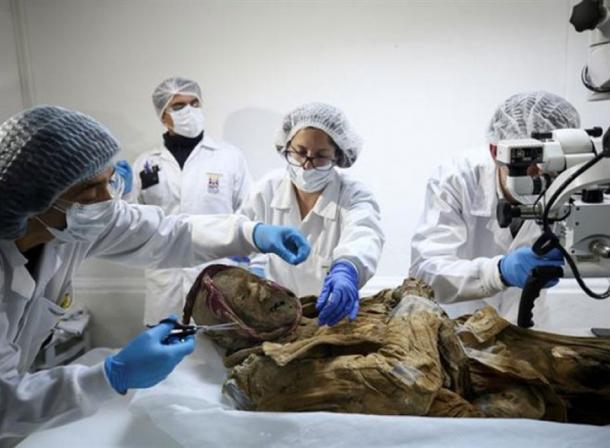 The remains of the mummy of Guano will undergo a series of tests. (elciudadano.com)