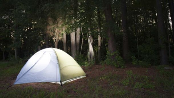 Tragerul a susținut că campingul său a fost deteriorat de Bigfoot.  (Guy Sagi / Adobe Stock)