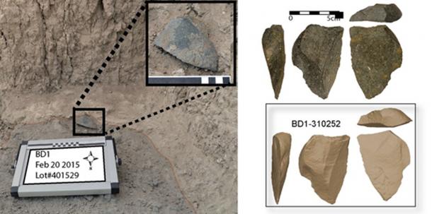 The stone tools were found near the oldest fossil attributed to the genus Homo. (David R. Braun)