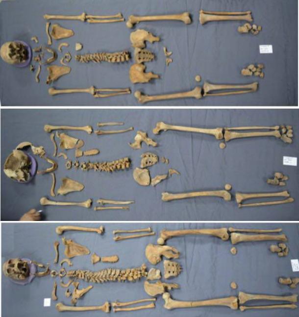 The three skeletons that have been recovered from the sarcophagus are 2 males and a female of varying ages. (Image: Ministry of Antiquities)