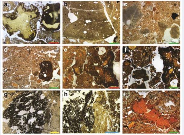 These are sediment profiles showing a gallery of Denisova fossils containing hyena, wolf and other unidentified animals. (Dr. Mike Morley, Flinders University)