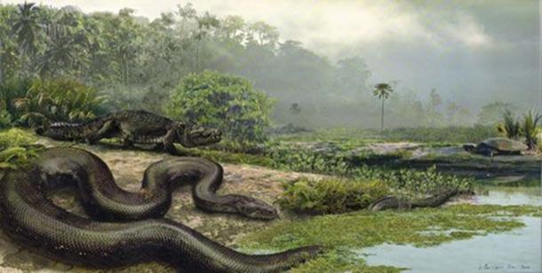 Titanoboa: The Monster Snake That Ruled Prehistoric Colombia | Ancient ...