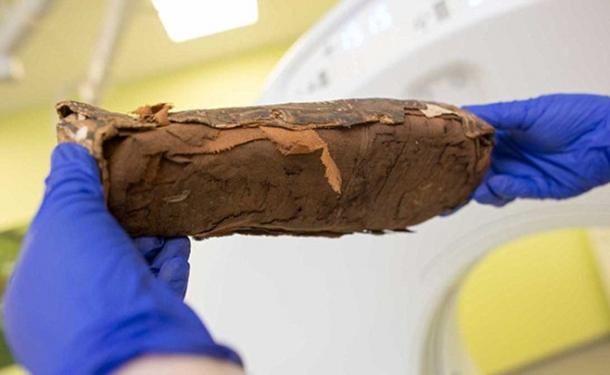 Without the CT scan results, it would have been impossible to discover this small sarcophagus holds a miscarried baby, not the hawk it was previously believed to contain. 