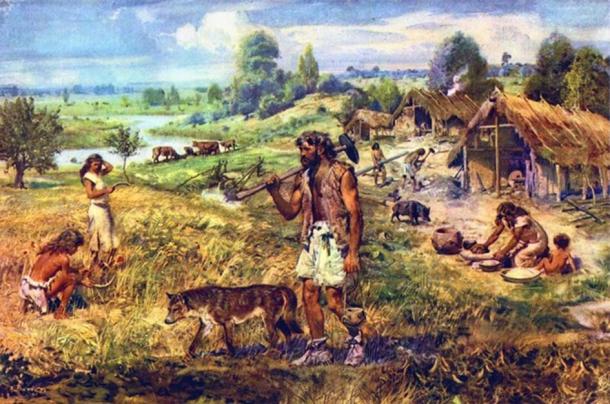 Dogs became essential farmersâ€™ tools in the Neolithic era as they not only guarded fields and animal stocks from predators, but they doubled as effective weapons in tribal warfare.