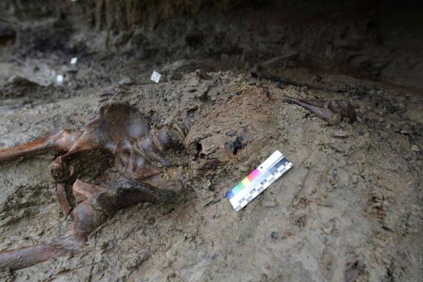 The blackened skeleton of a 40 to 45-year-old man was found with a cloth shoulder bag containing a wooden box and other materials. (Parco Archeologico di Ercolano)