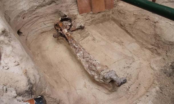 The Mayback burial was block lifted from the grave to be further examined in laboratory conditions, including the skeleton and Viking sword. (AOC Archaeology)