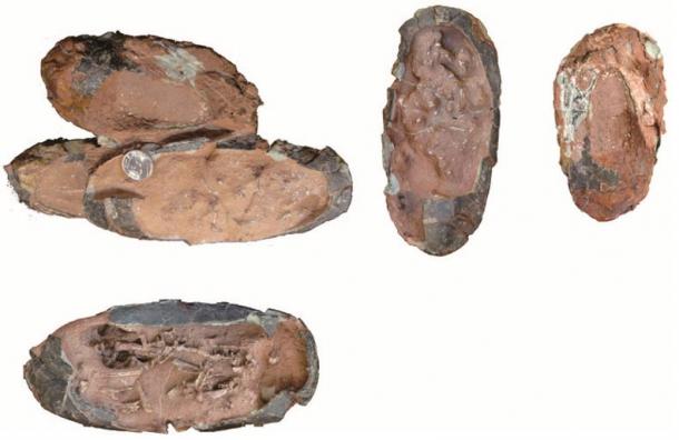 Photos of the clutch of three oviraptorid eggs including embryos before preparation and separation of the individual eggs