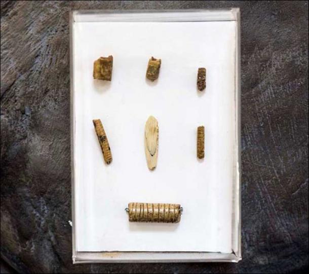 Extinct Denisovans from Siberia Made Stunning Jewelry. Did ...