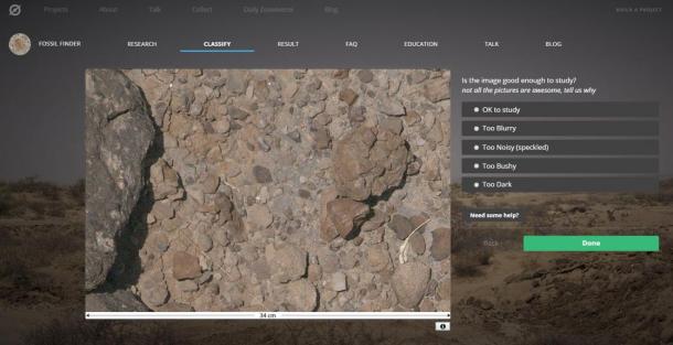 Online Fossil Hunters Wanted: Citizen Science Project Seeks Help To ...