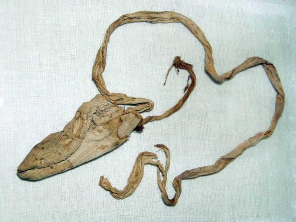 When excavating Tutankhamun’s tomb, archaeologists found a fine linen condom, which had been soaked in olive oil, and would have been attached to a string which tied around his waist. It dated back to 1350 BC. Experts are not sure if it was used for ritual purposes, to prevent disease or as a contraceptive method. (Egypt Museum)