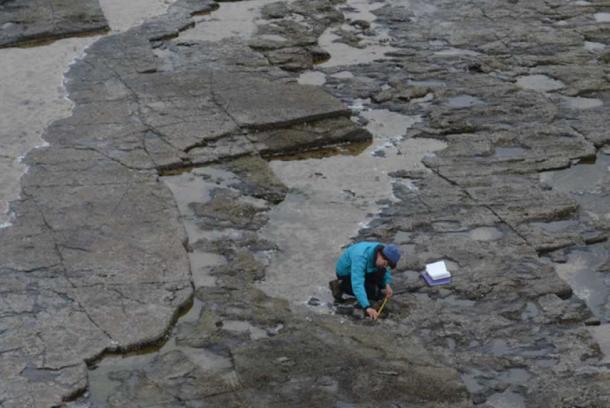 A field researcher involved in the measurement and mapping of the site. (SWNS)