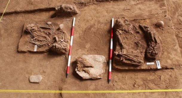 These two ancient skeletons buried at the Gua Chalan site were discovered before a hydroelectric lake flooded it.