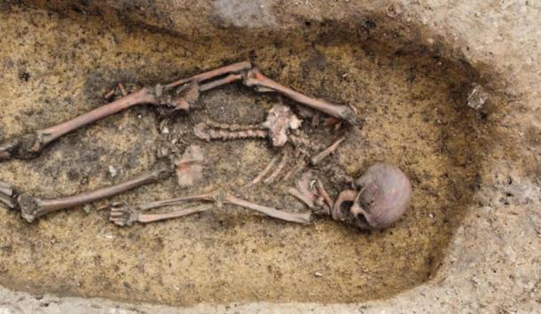 50 Danish Viking Skeletons Unearthed in a State of ‘Exceptional Preservation’