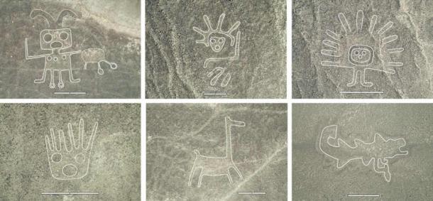 AI Detection System Discovers 303 New Carved Figures at Nazca, Peru