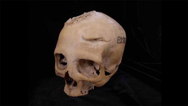 Skull E270, dating from between 663 and 343 BC, belonged to a female individual who was older than 50 years. Image: Tondini, Isidro, Camarós, 2024. Source: Tondini, Isidro, Camarós, 2024/Frontiers