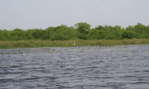 Crooked Tree Wildlife Sanctuary in Belize. 