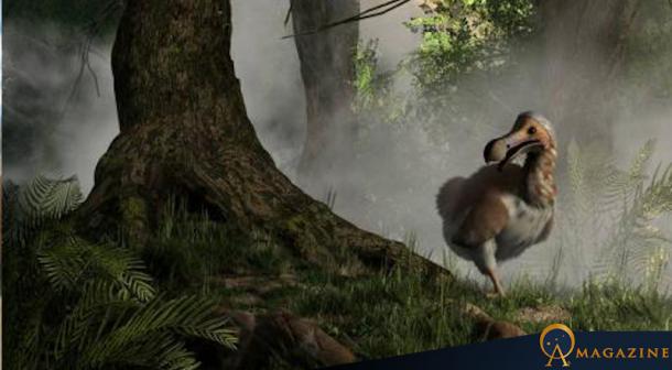 A now-extinct Dodo bird emerging from the mist.