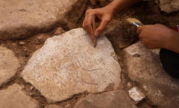 Donkey Motif At Karahan Tepe Adds New Layer to Life at the Site