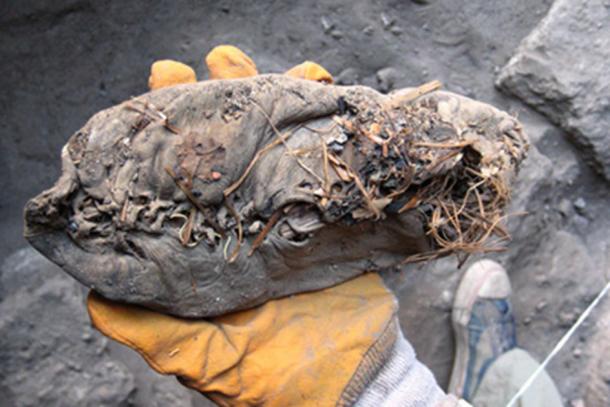 The Everlasting Shoe What Does This 5 500 Year old Shoe 