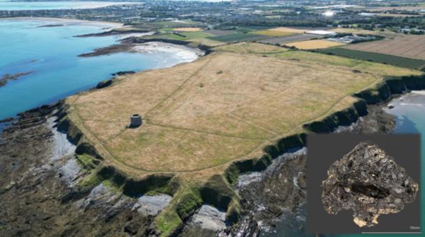 Drumanagh Promontory Fort, County Dublin. Inset, The charred fig from the Drumanagh excavation