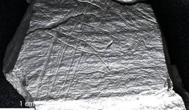 : A slate slab from the Stone Age site of Gönnersdorf shows a fish trap.