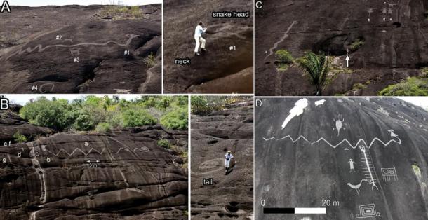 A variety of the giant petroglyphs discovered along the Orinoco River