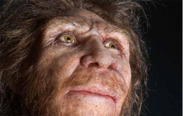 Scientists Just Found Human Evolution’s Missing Link in Europe (Video ...