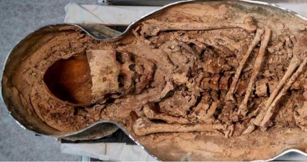 The elongated skull of a nobleman found in one of two lead-line sarcophagi interred in Notre Dame Cathedral.