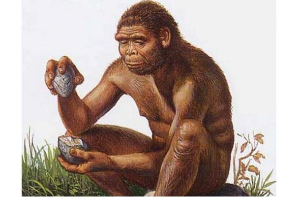 3 3 Million Year Old Stone Tools Overturn Archaeological Record   Illustration Of The Species Homo Habilis  