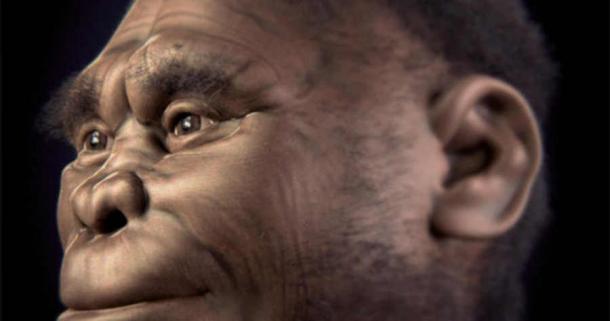 Study Finds Indonesian Hobbits Were Smaller than Imagined